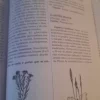 Libro Plantas Toxicas En Pediatría D.r.w.bruning - Imagen 4