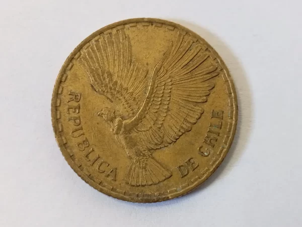 Moneda Chilena 5 Centésimos 1962 Año Escaso(&1 (Usado) - Imagen 3